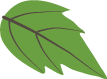 1503738210111224.png 2.png
